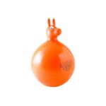 Gymnic Pony Ball